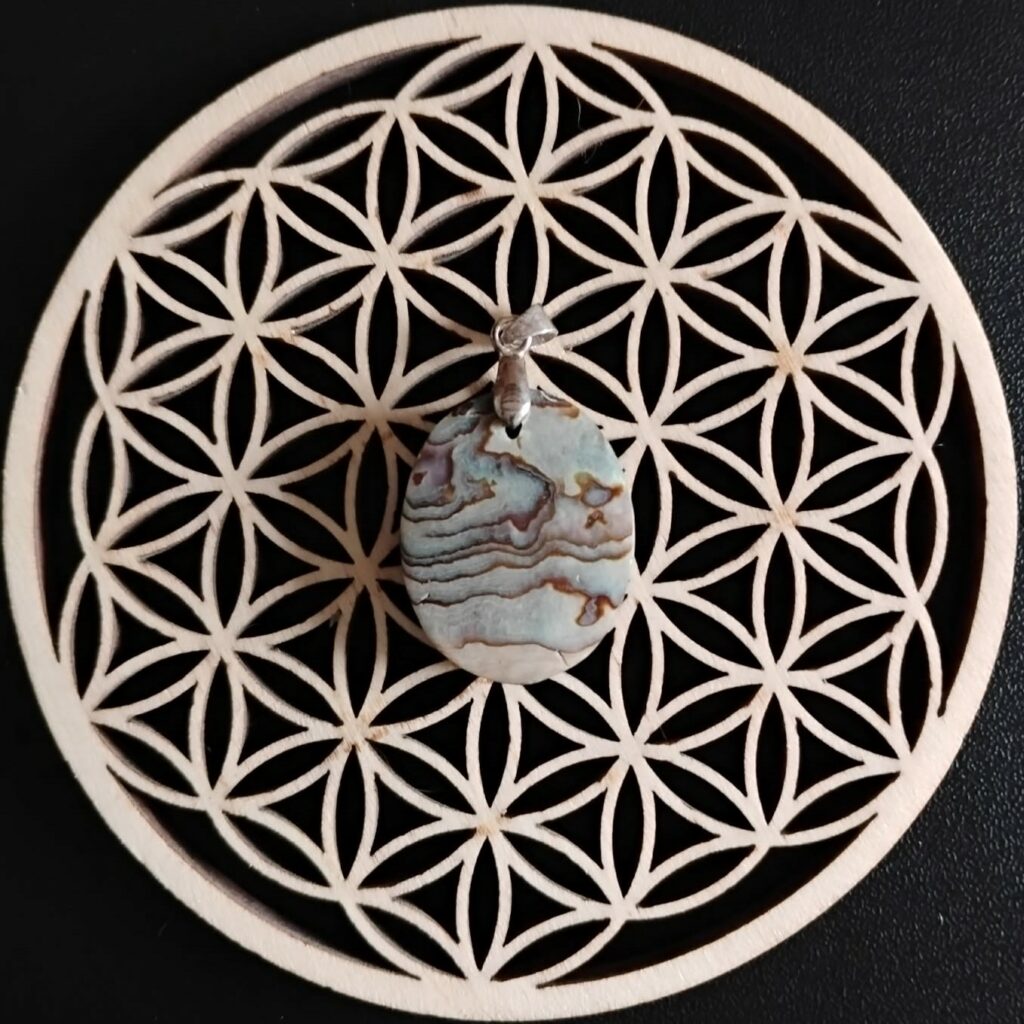 Abalone Pendentif 15€
