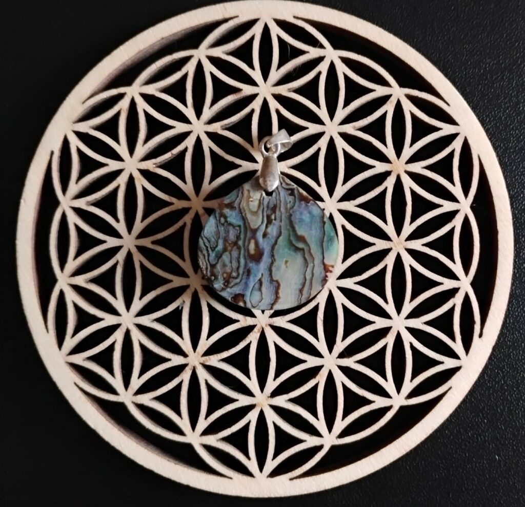Abalone Pendentif 15€