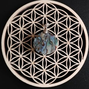 Abalone Pendentif 15€