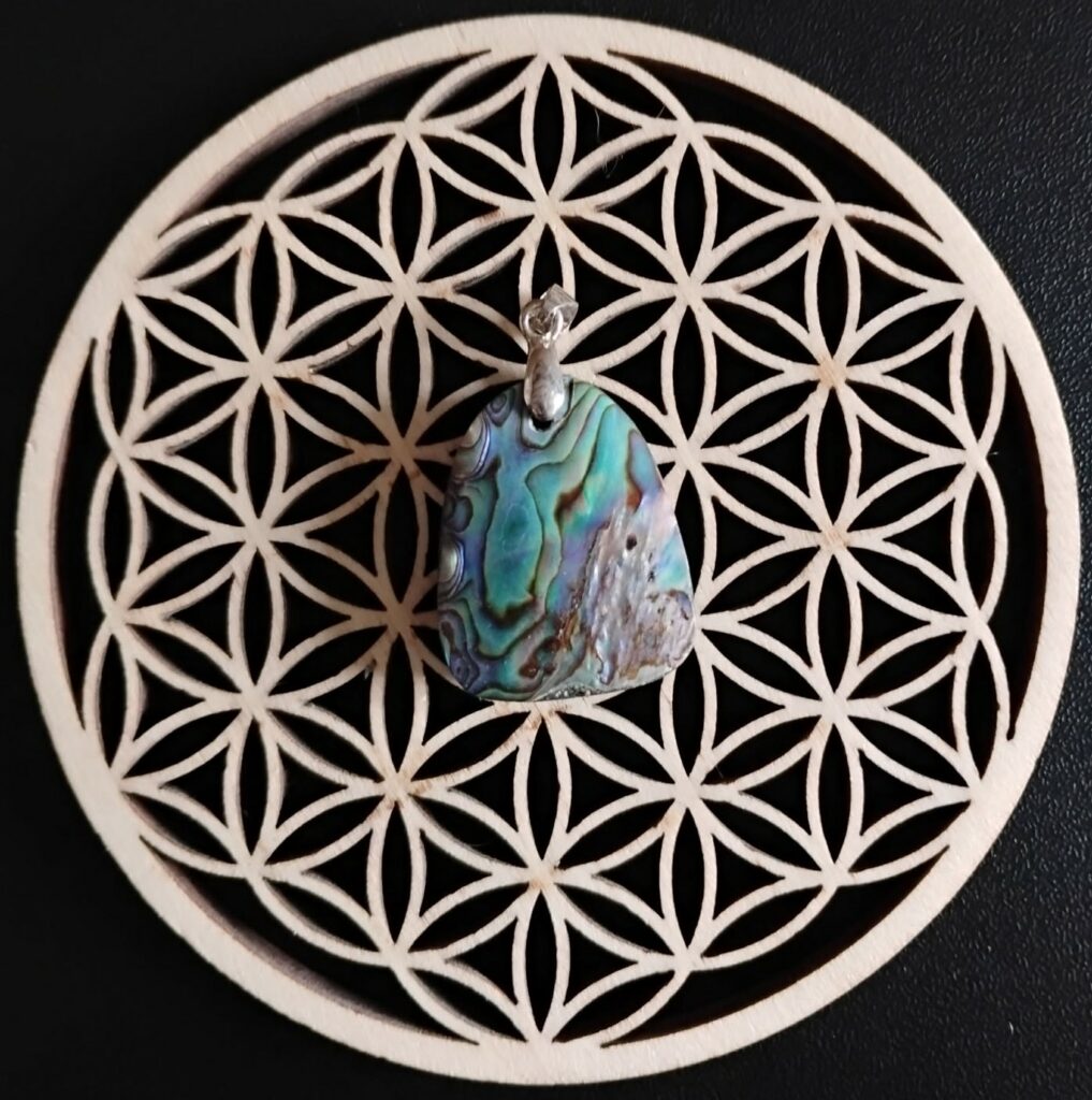 Abalone Pendentif 15€