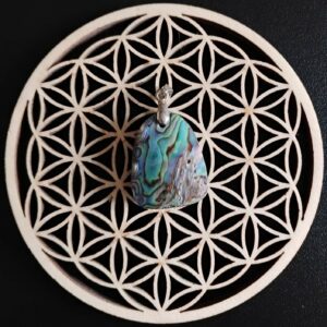 Abalone Pendentif 15€