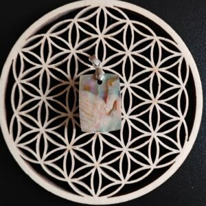 Abalone Pendentif 15€