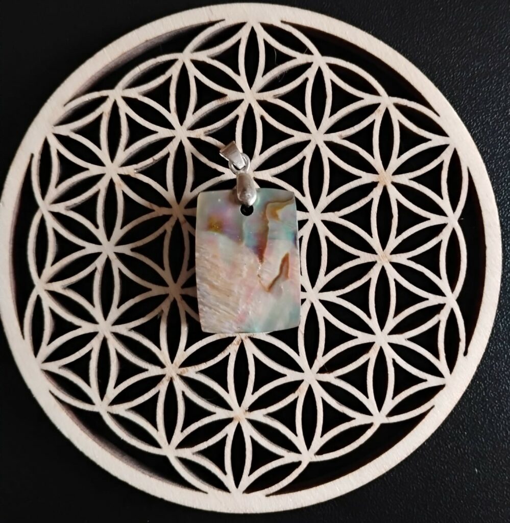 Abalone Pendentif 15€