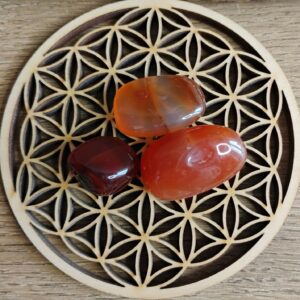 Cornaline Pierre Roulée