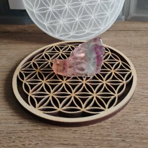 Fluorine Tête de Dragon