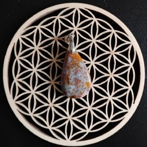 Jaspe Oiseau Pendentif 15€