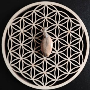 Jaspe Paysage Pendentif 8€