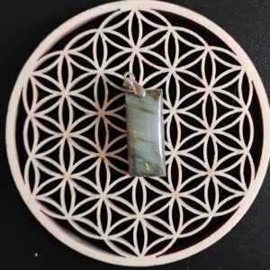 Labradorite Pendentif 12€