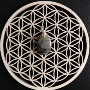 Labradorite Pendentif 12€