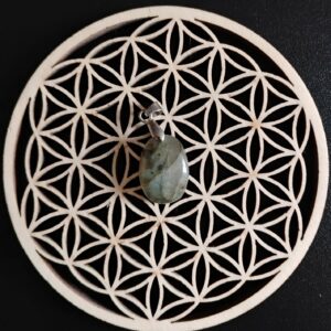 Labradorite Pendentif 8€