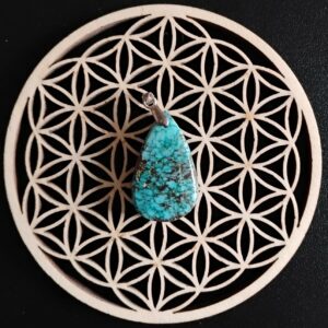 Magnésite Pendentif 15€