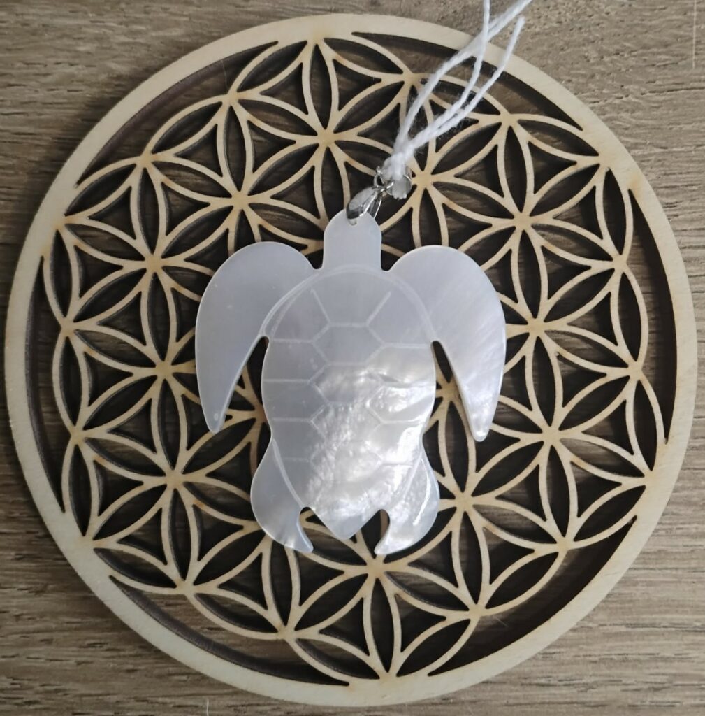 Nacre Pendentif Sculpté Tortue