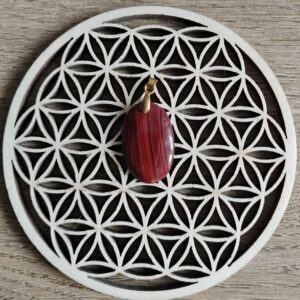 Oeil de Taureau Pendentif 12€