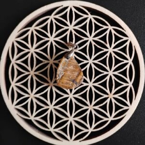 Oeil de Tigre Brute Pendentif 12€