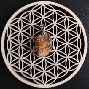 Oeil de tigre Brute Pendentif 12€