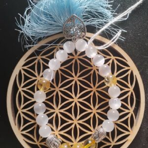 Collection Chakra Gémellaire