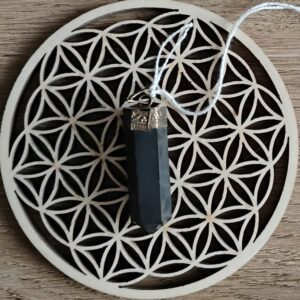 Shungite Pendentif Pointe