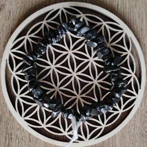 Shungite Bracelet Chips