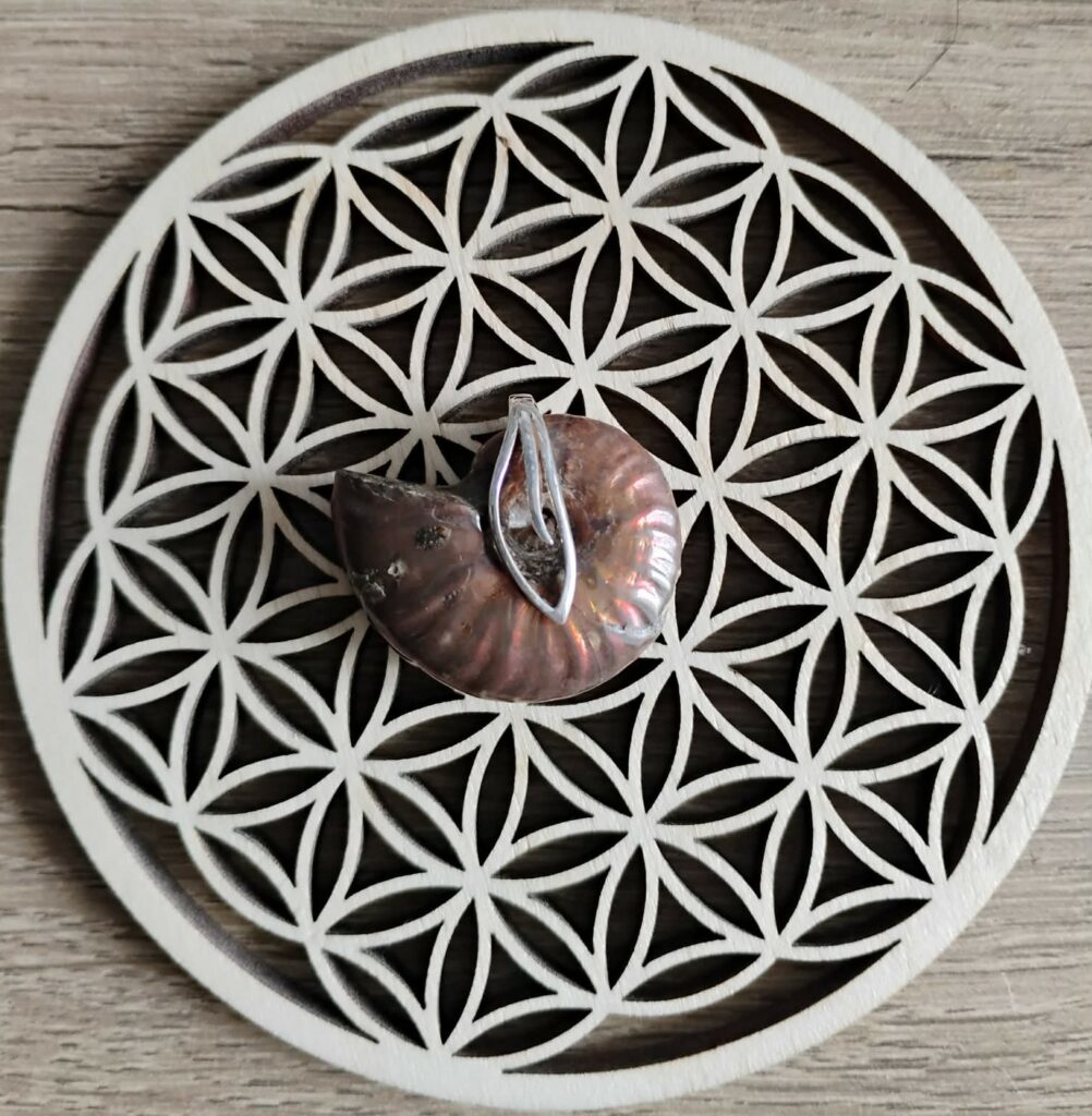 Ammonite Pendentif Sculpté
