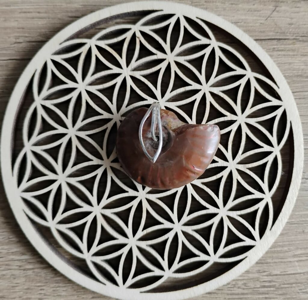 Ammonite Pendentif Sculpté