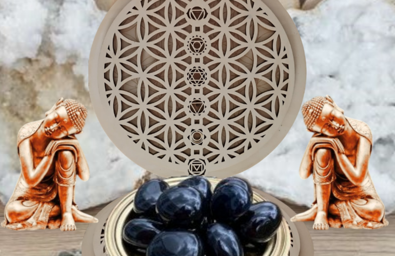 Si vous voulez tous savoir sur l&rsquo;Onyx