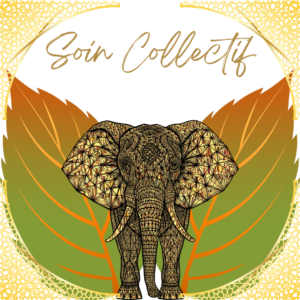 Soin collectif visio