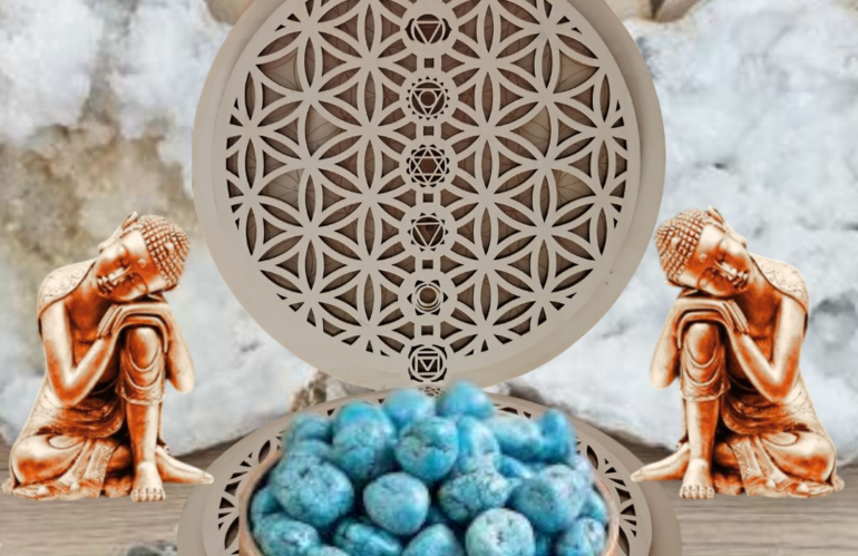 Si vous voulez tous savoir sur la Turquoise